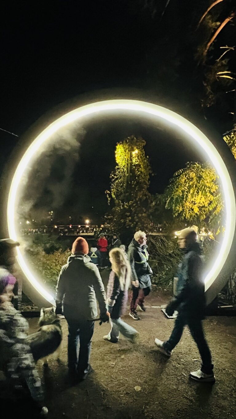 Festivaalin valoteos vuodelta 2025.